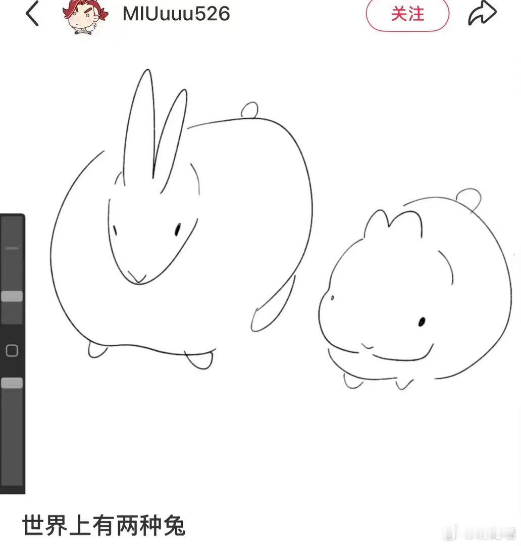 世界上有两种兔 ​​​
