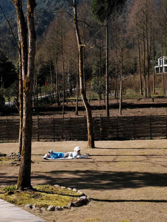 🍃春天就要上春山｜春日套餐上线