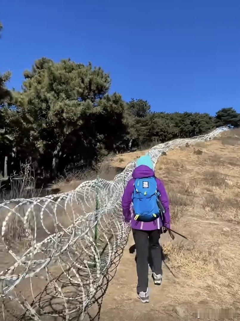 泰山疑被135公里刀片铁丝网围住景区给出的理由很正当：防火、防虫、防驴友违规进山