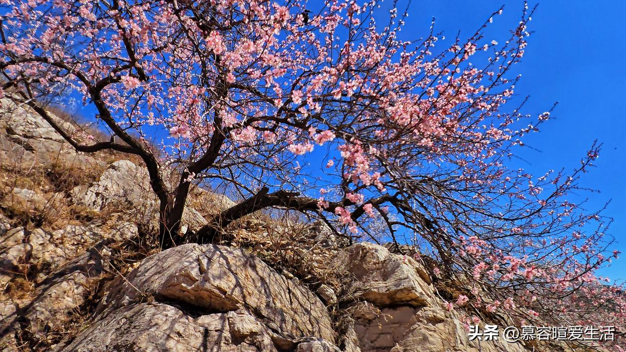 朝阳县古村落北四家子八盘沟春天美景！ 古村落