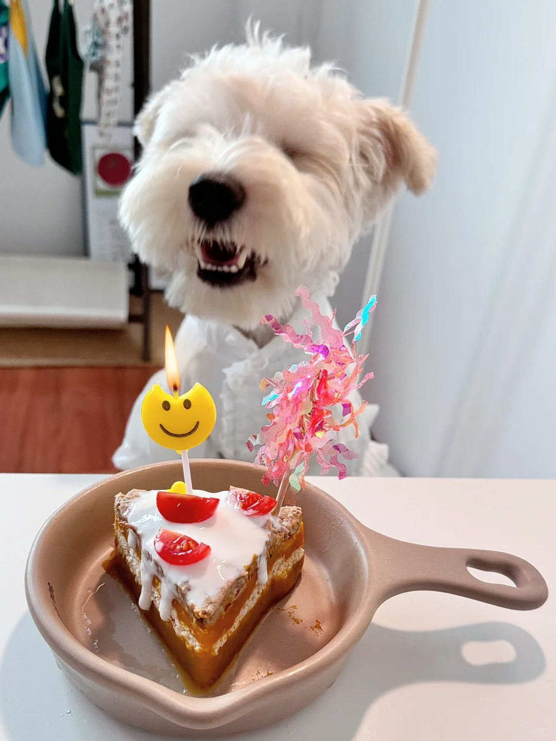 ⁺₊♡₊⁺ 許願日.ᐟ.ᐟ ˳⁺🍰⁎˚