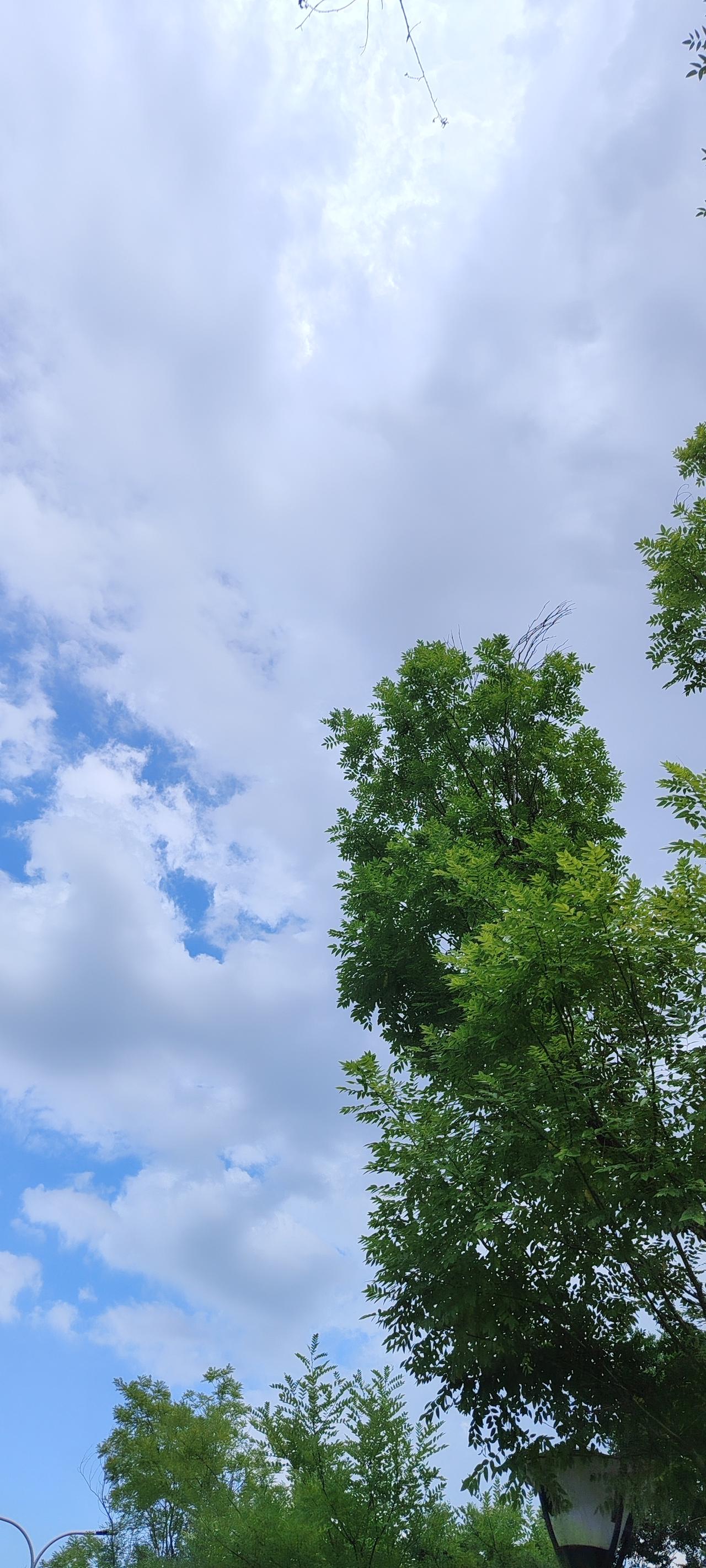 夏日生活打卡季积极阳光健康快乐每一天