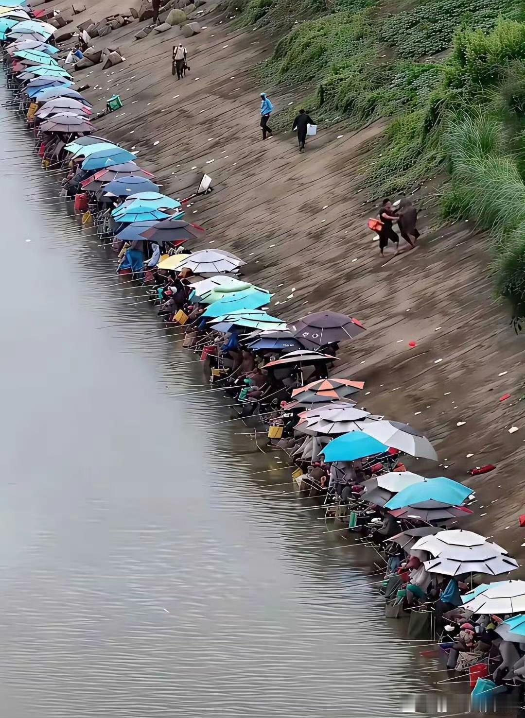 如果在这里做生意,你说卖点什么好 