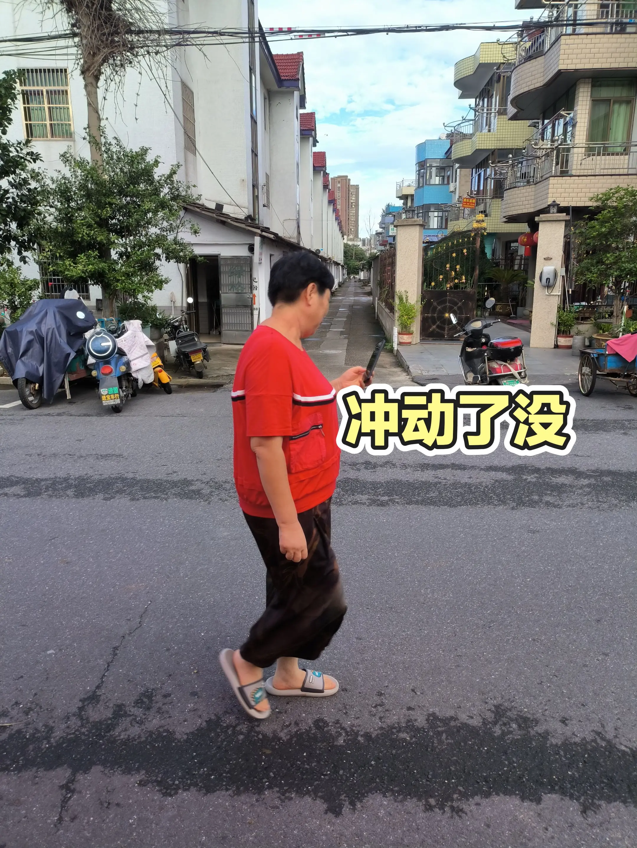 每日分享