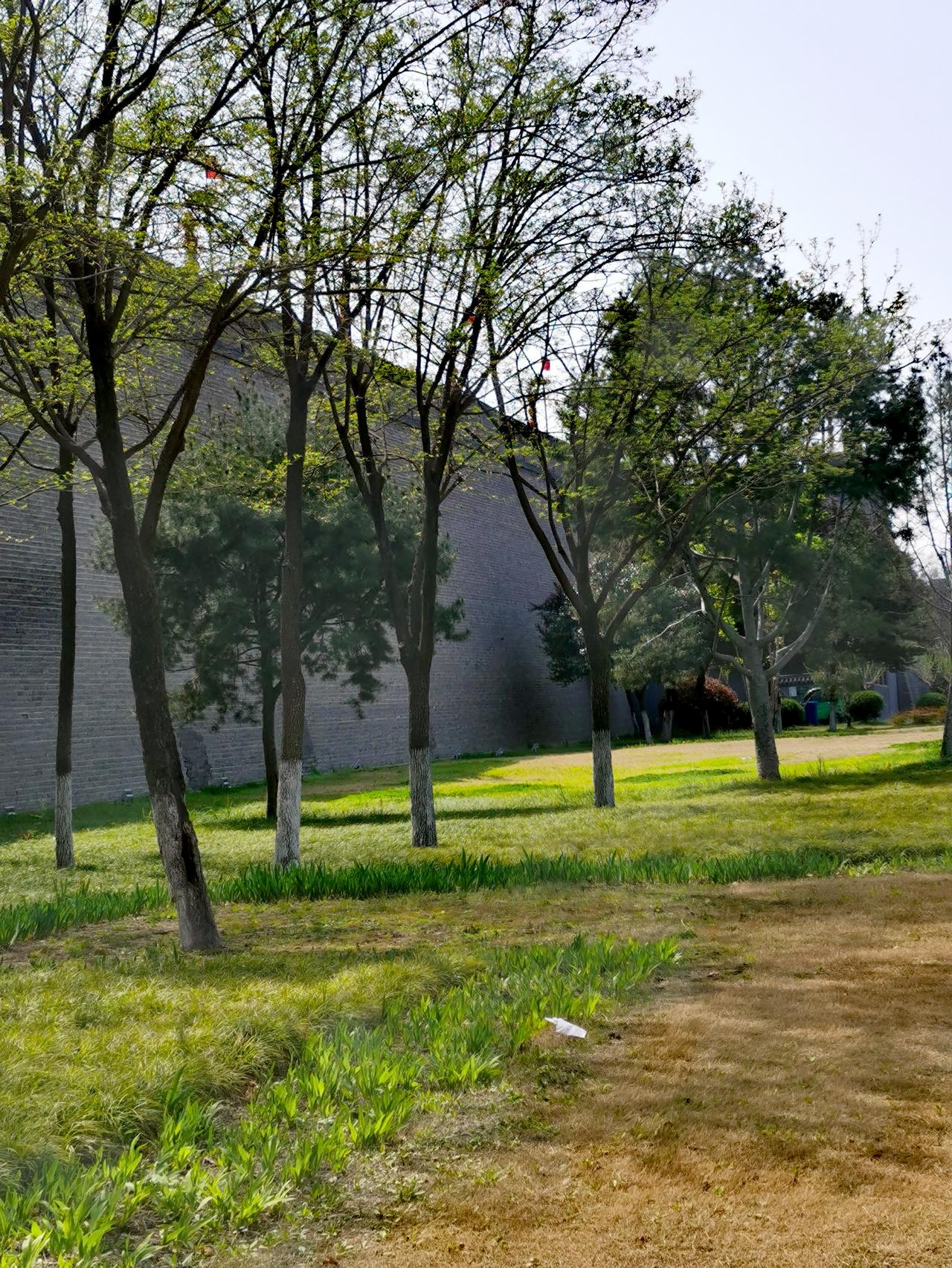 给大家分享一些我在西安城墙公园拍的图片。
绕城墙一周的西安环城公园，是明清城墙、