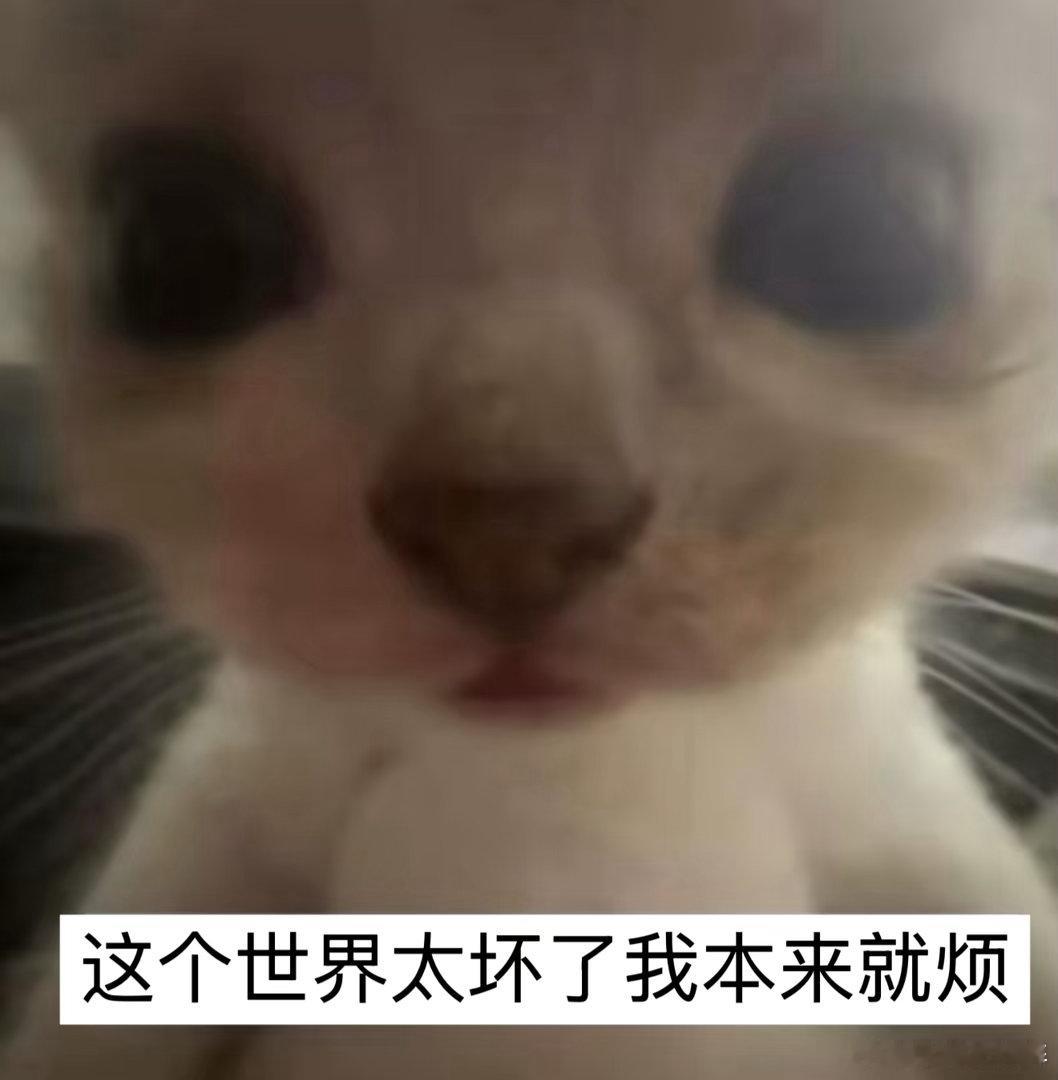 想看工作室拍的，但怕又给华晨宇添堵了