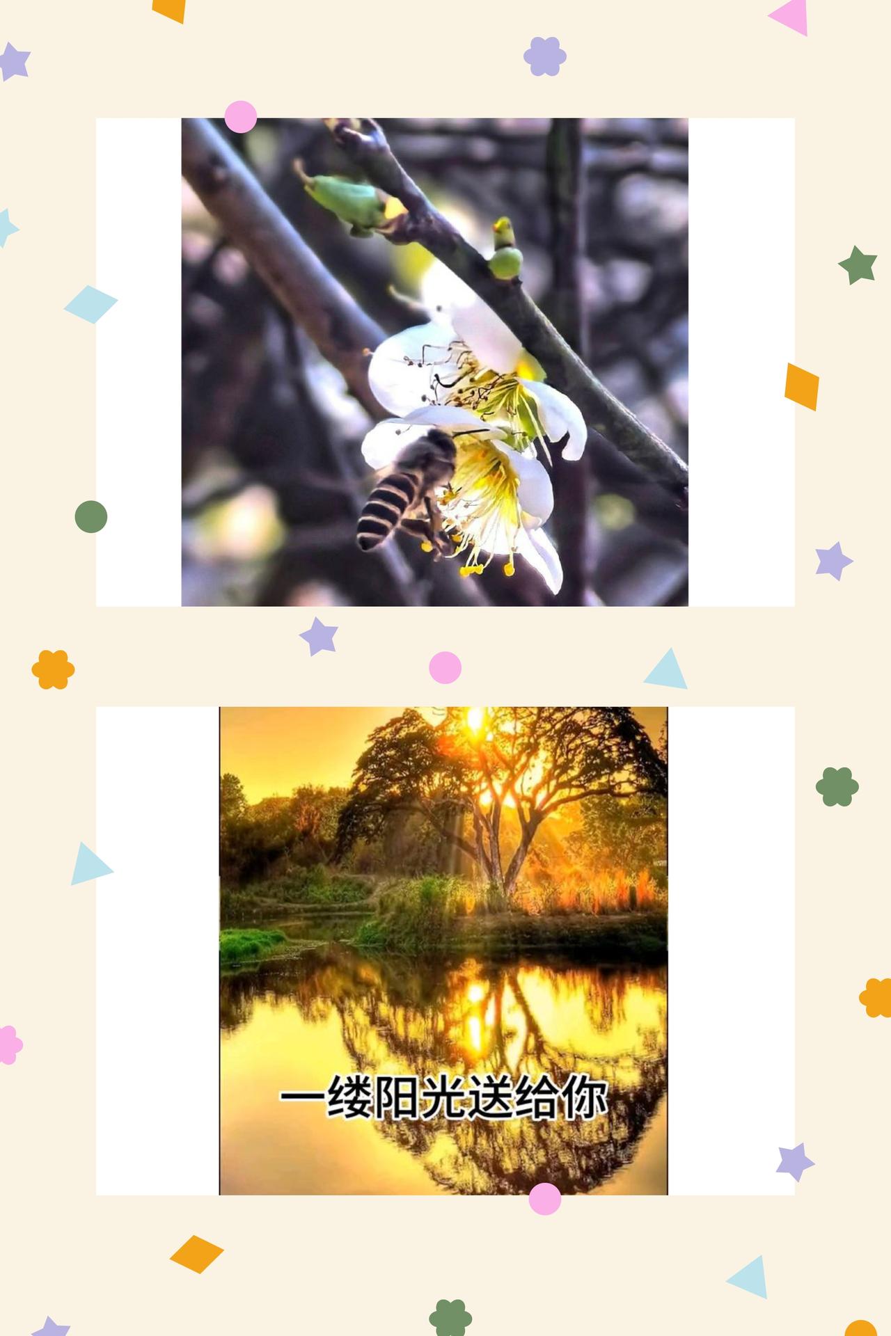 当下即景，便是生活顶配
我们总在漫长的人生里，为“享受”预设了太多门槛。仿佛要等