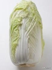 我最近太难了，大白菜都买不起，过完年家里没有钱了。工资还在路上，也不知道啥时候开