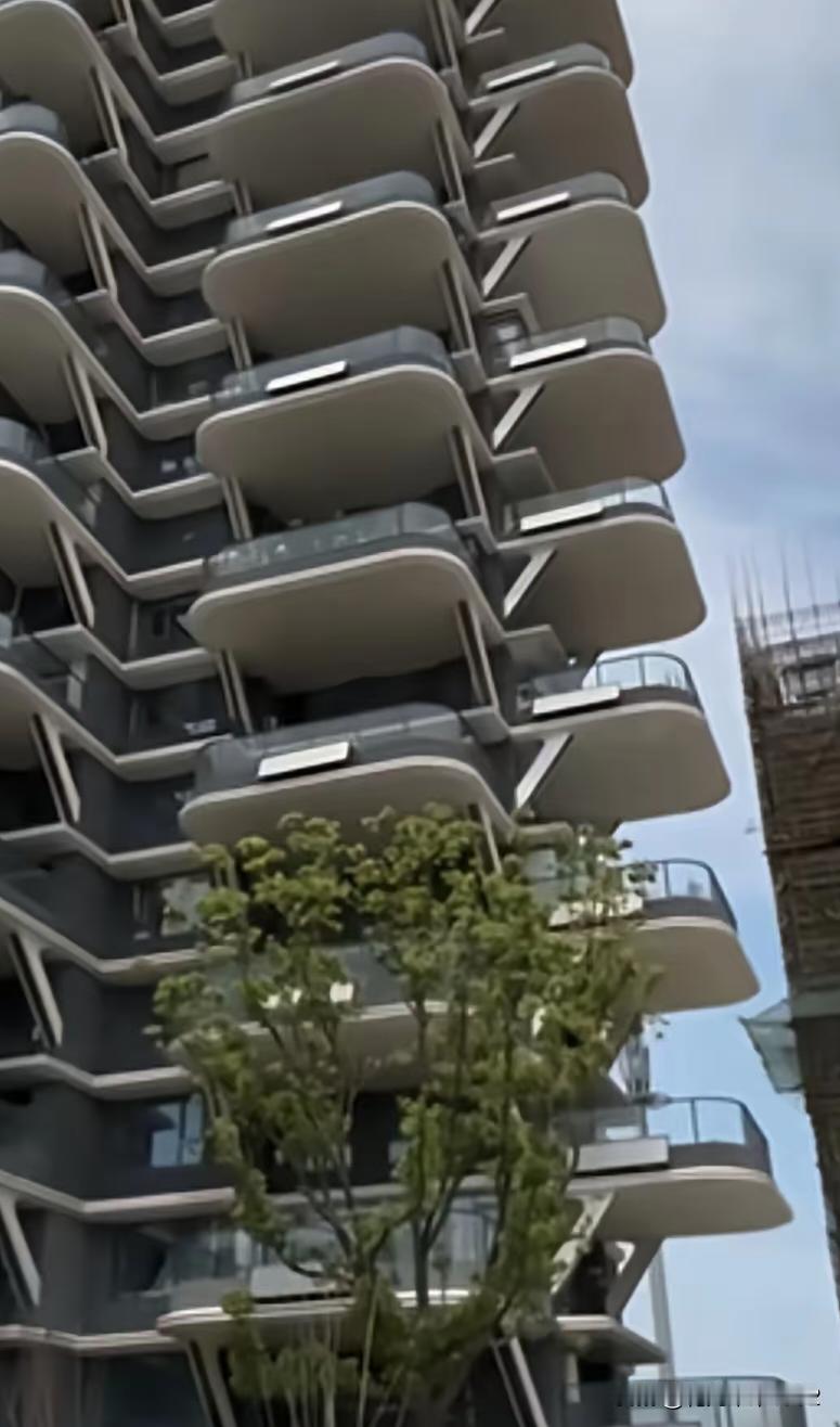 昨天去看了所谓的第四代住宅，这样的住宅到底好不好，估计每个人都有自己的想法。房子