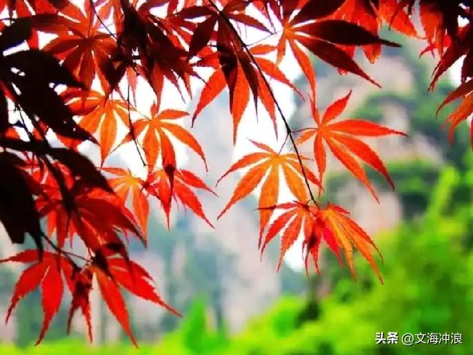 我抓住岁月的手
请你慢慢走
无论春夏冬秋
你永远是
我最好的朋友