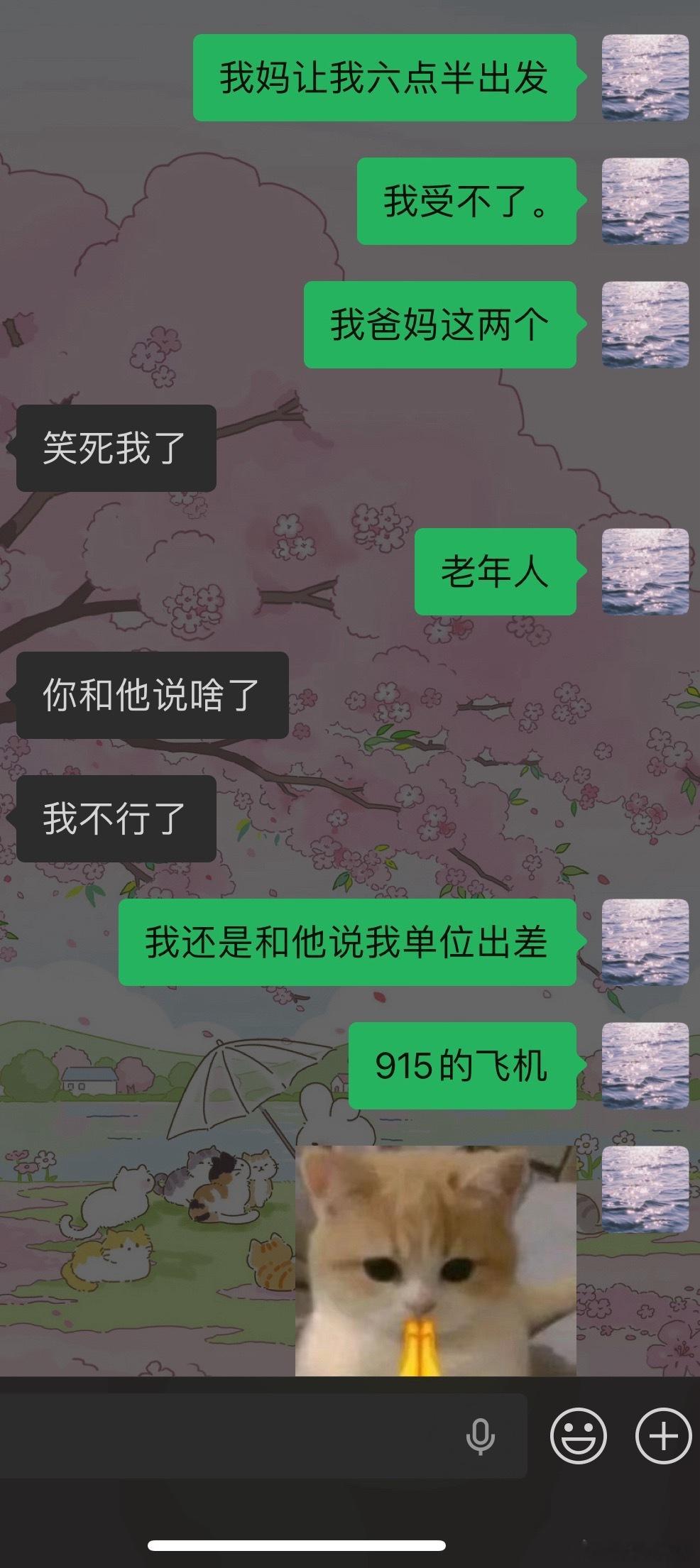 周六去重庆买八点多飞机但是和我妈说单位出差买的九点一刻 我妈让我六点半出发合肥回