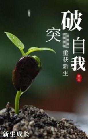 早安 当你久困泥潭，别怕推倒重来，每一次主动调整都在为全新的自己铺路，只要想改变