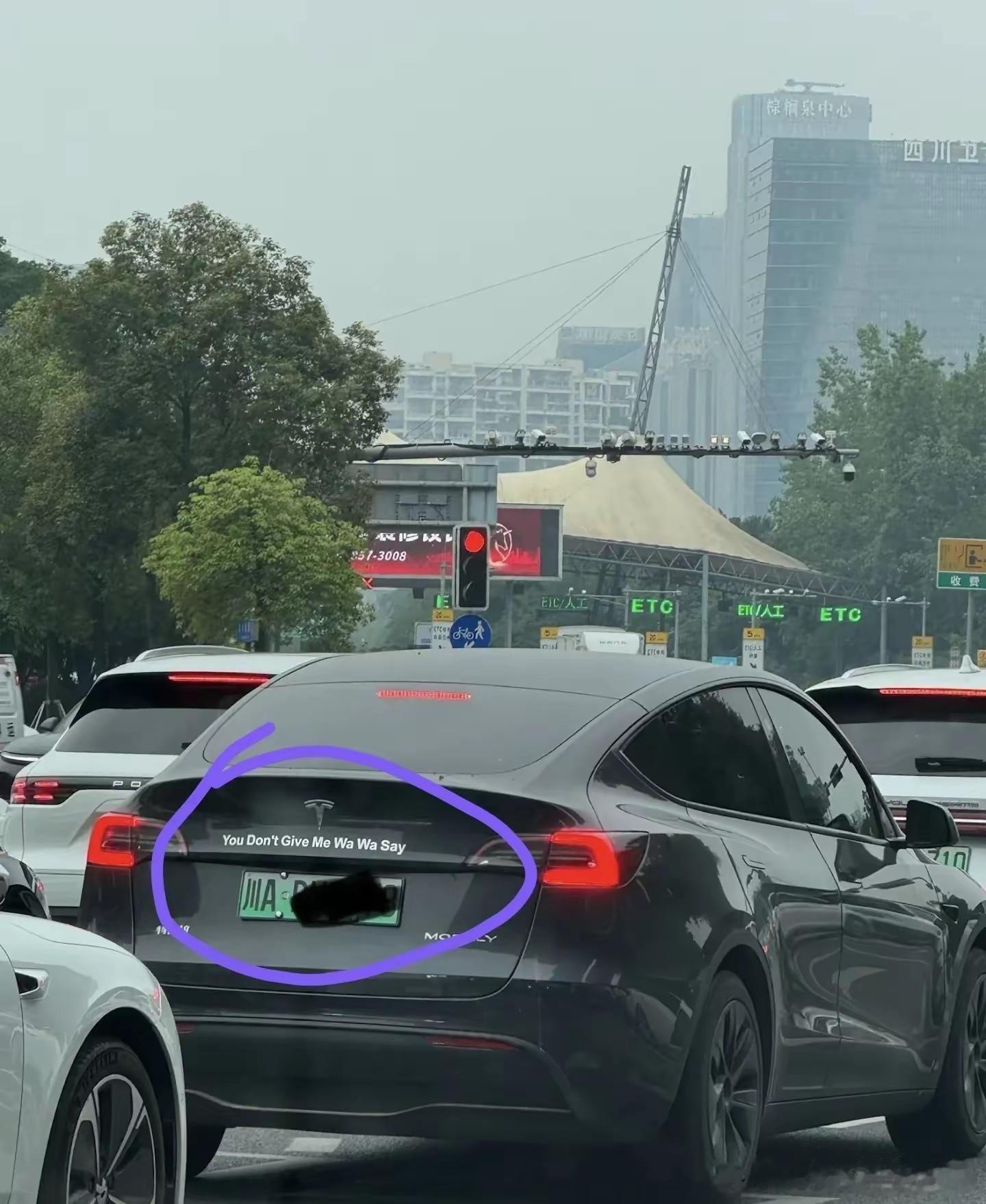调皮的特斯拉车主，这个梗估计四川的朋友都知道吧？ ​​​