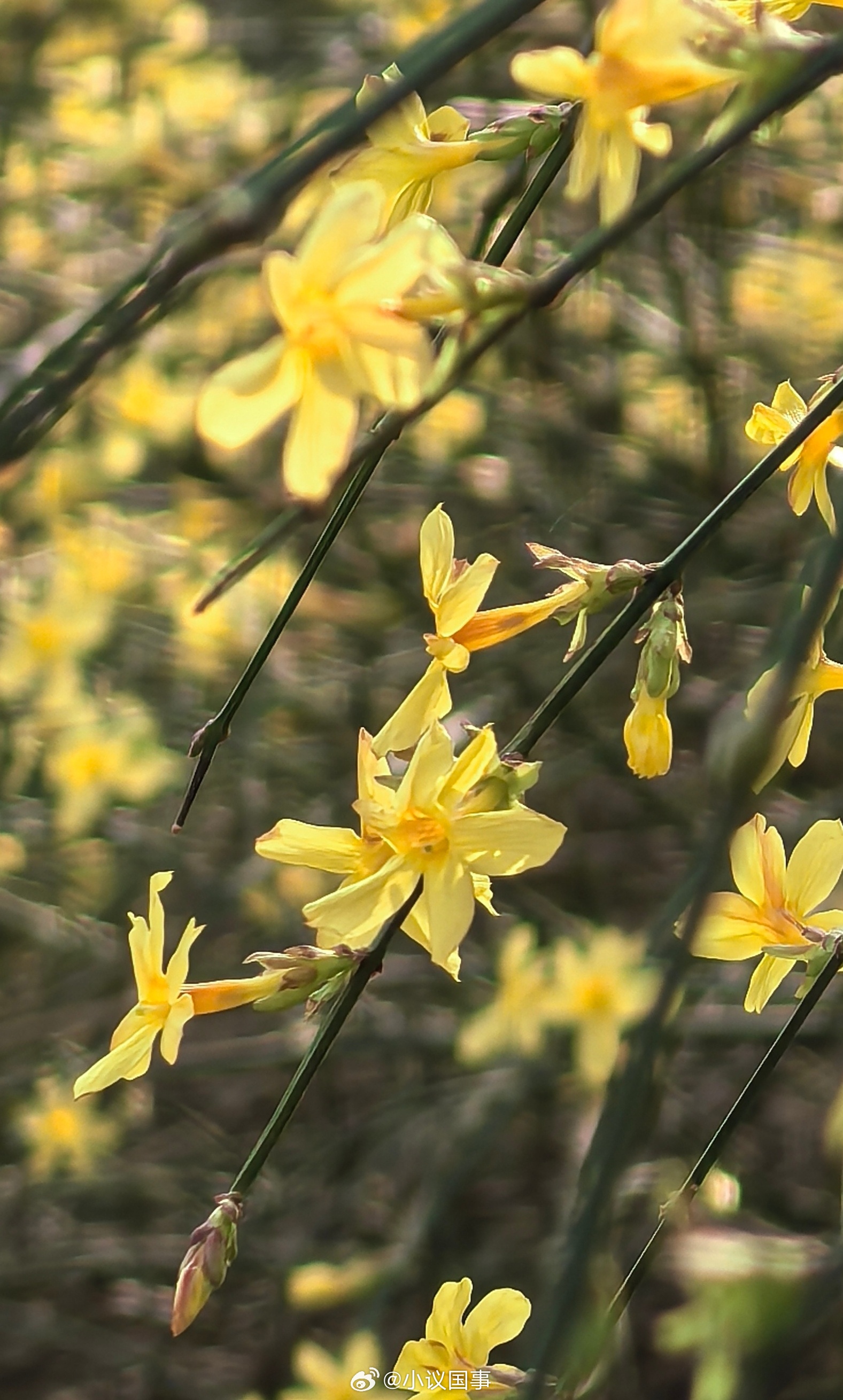 人们道德水准的高低并不取决法律，尤其刑法。陈年夜话