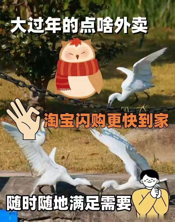 杭州1号线有被淘宝闪购暖到春节陪爸妈逛南宋御街🍪老爸想尝杭式桃酥却怕人多，有些