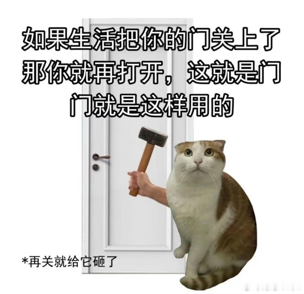 *再关就给它砸了 