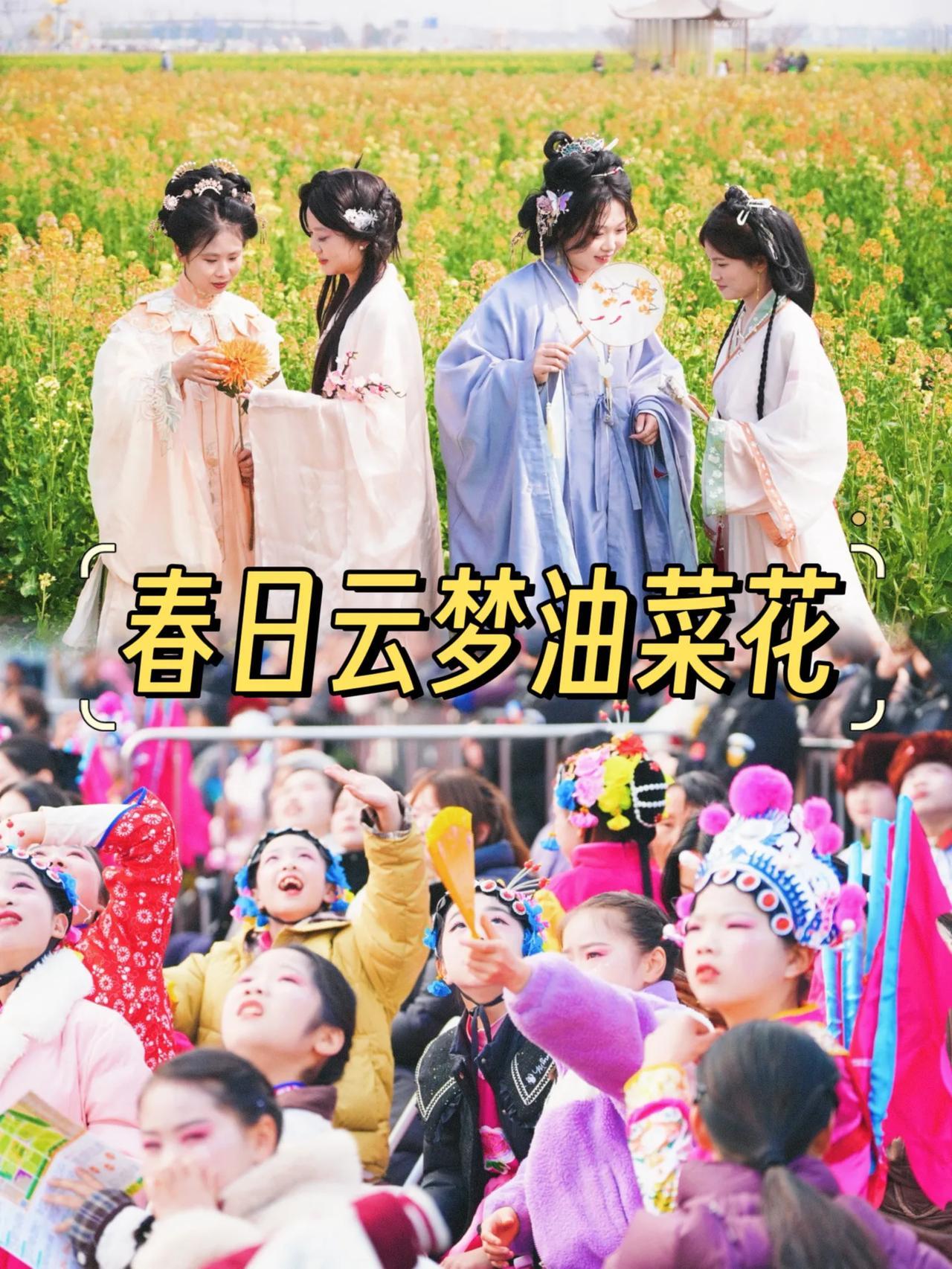湖北云梦县2025年油菜花海文化旅游节盛大启幕啦！
油菜花节活动将持续两个月，旅
