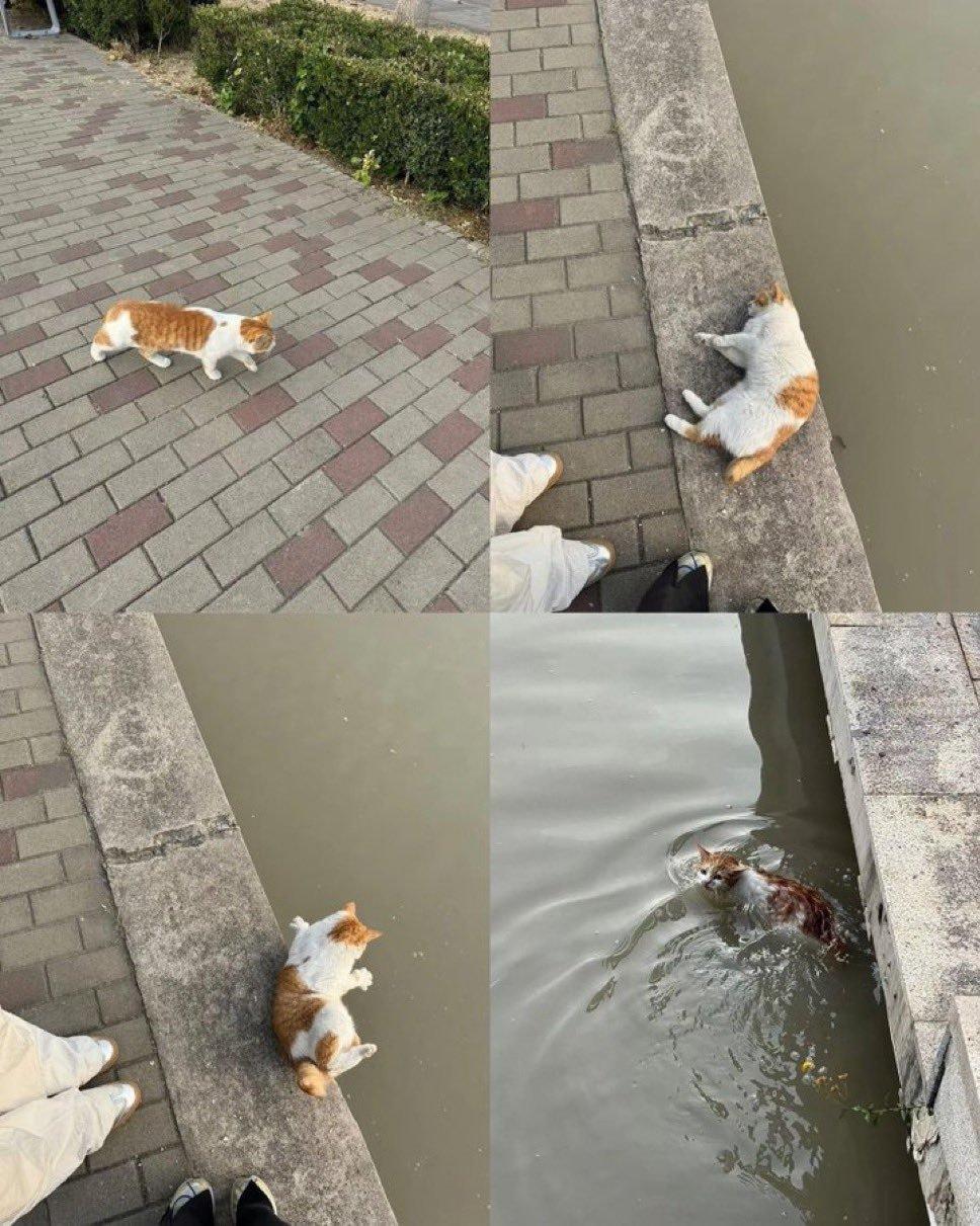 故事一则 