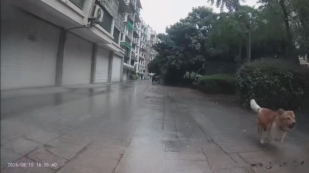 从一个有趣的人，变成一个让人讨厌的人，就是因为他不顾他人感受的偏执！

老马是我