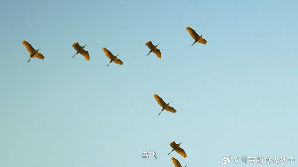 霸王茶姬王鹤棣一起好状态家人们，谁懂啊？！王鹤棣与春天撞了个满怀[微风]，这生机