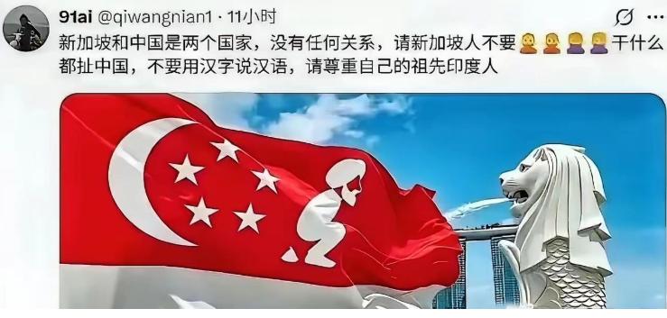 一张恶搞新加坡国旗再次引爆 “印家坡” 争论，新加坡火速全网封禁，反手扣帽子说来