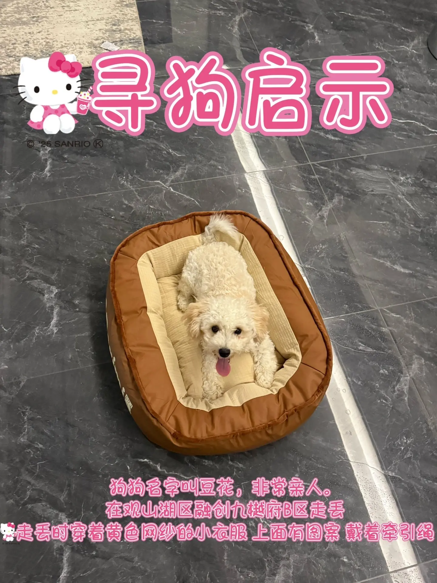 看到的话联系我一下 谢谢