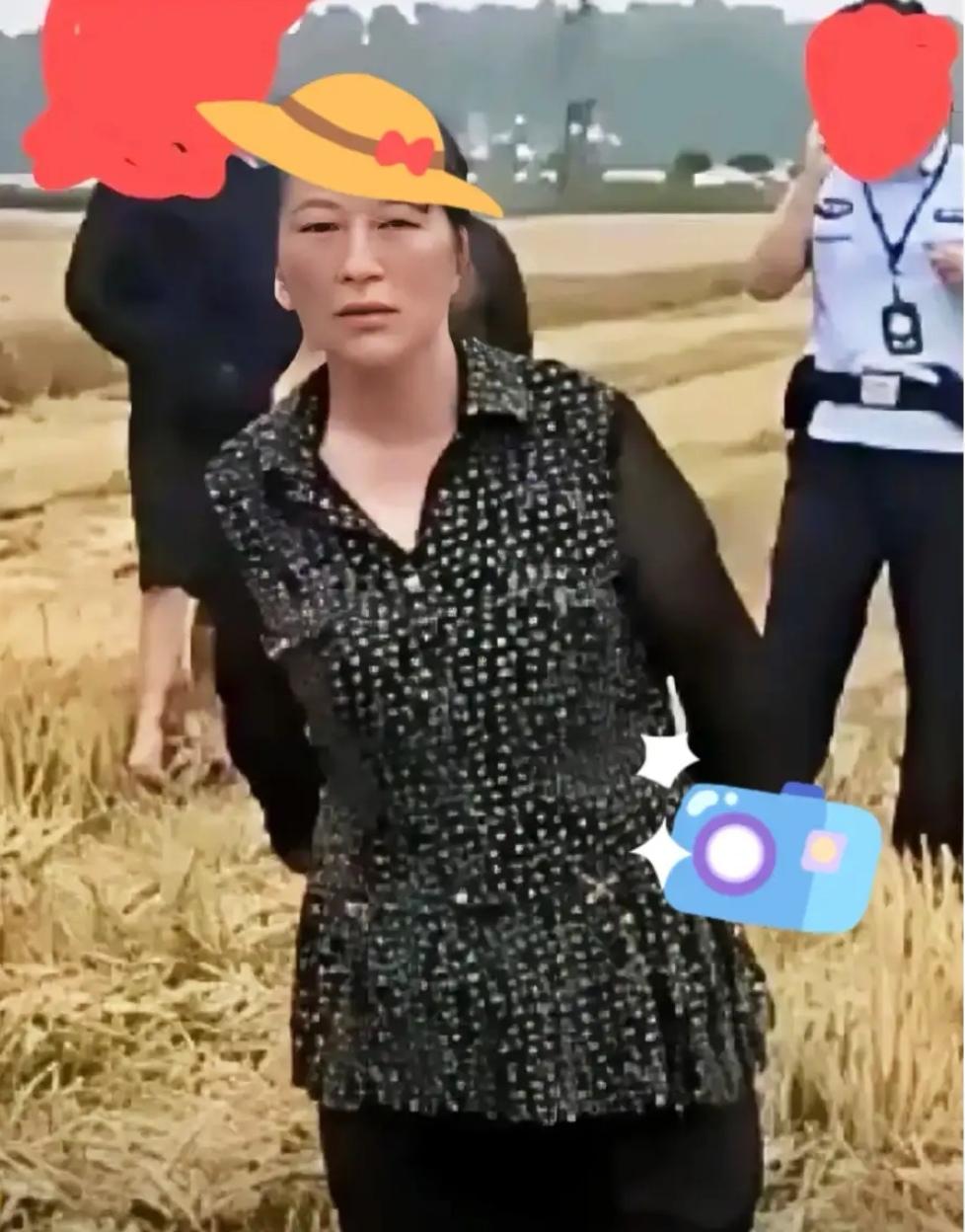 现在的农忙季节，麦熟了天气不好，连连下雨，可谓强收麦子，与老天爷争饭吃，大江南北
