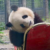 小馋嘴聚聚科技