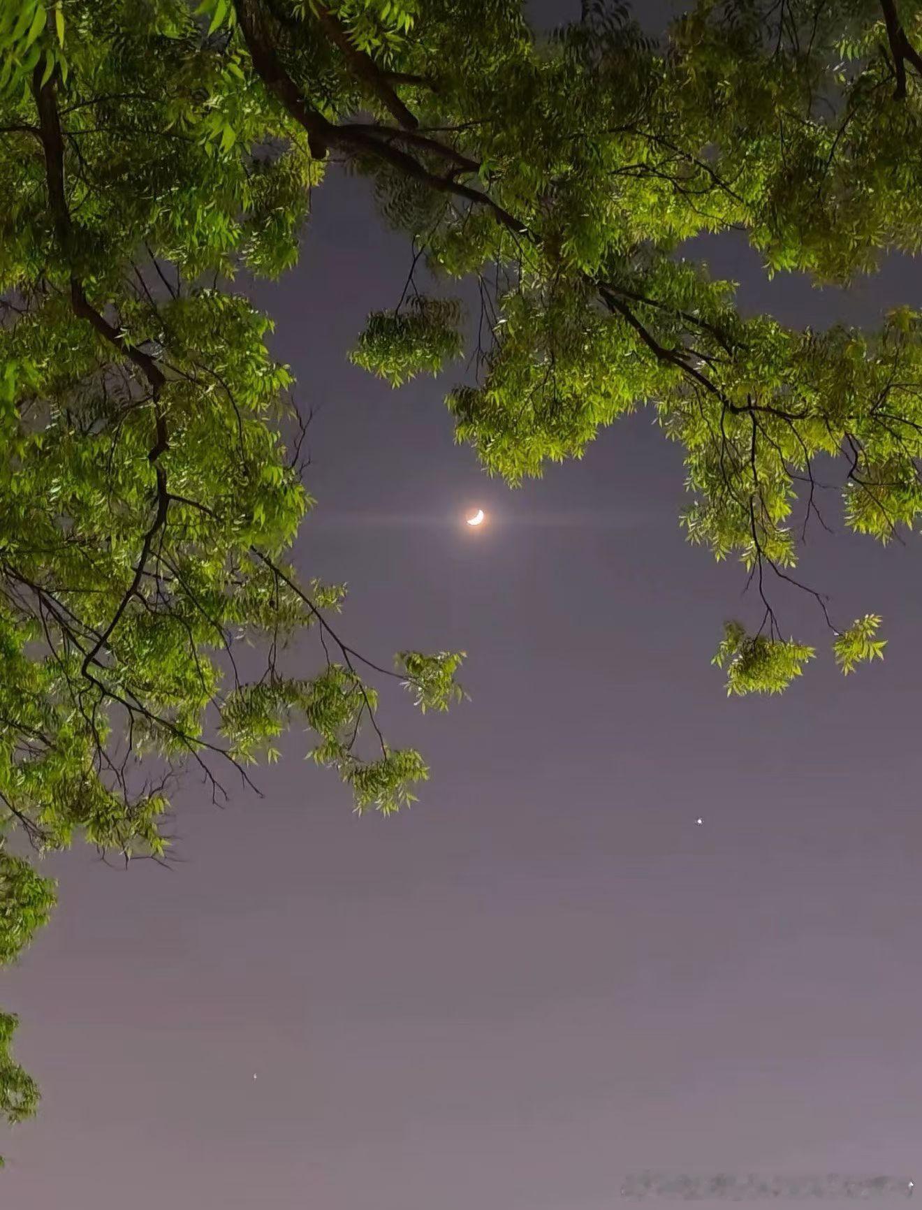 🌙 