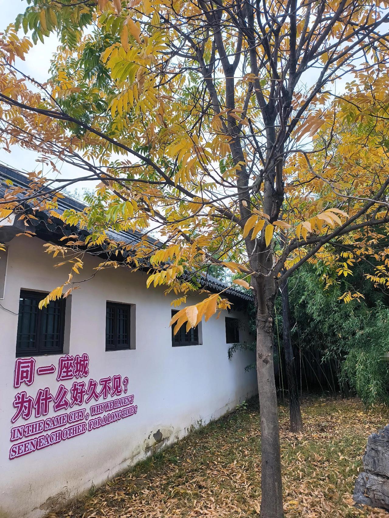 不要抱怨工作的枯燥乏味，你觉得那些有趣的职业，背后也未必妙趣横生。甚至有的职业，