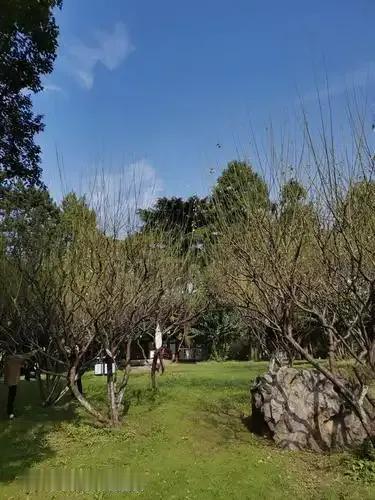 上联：草没梅园，菊枫谢幕冬无景；
下联：诗友请[玫瑰][玫瑰]
#诗与画对联小组