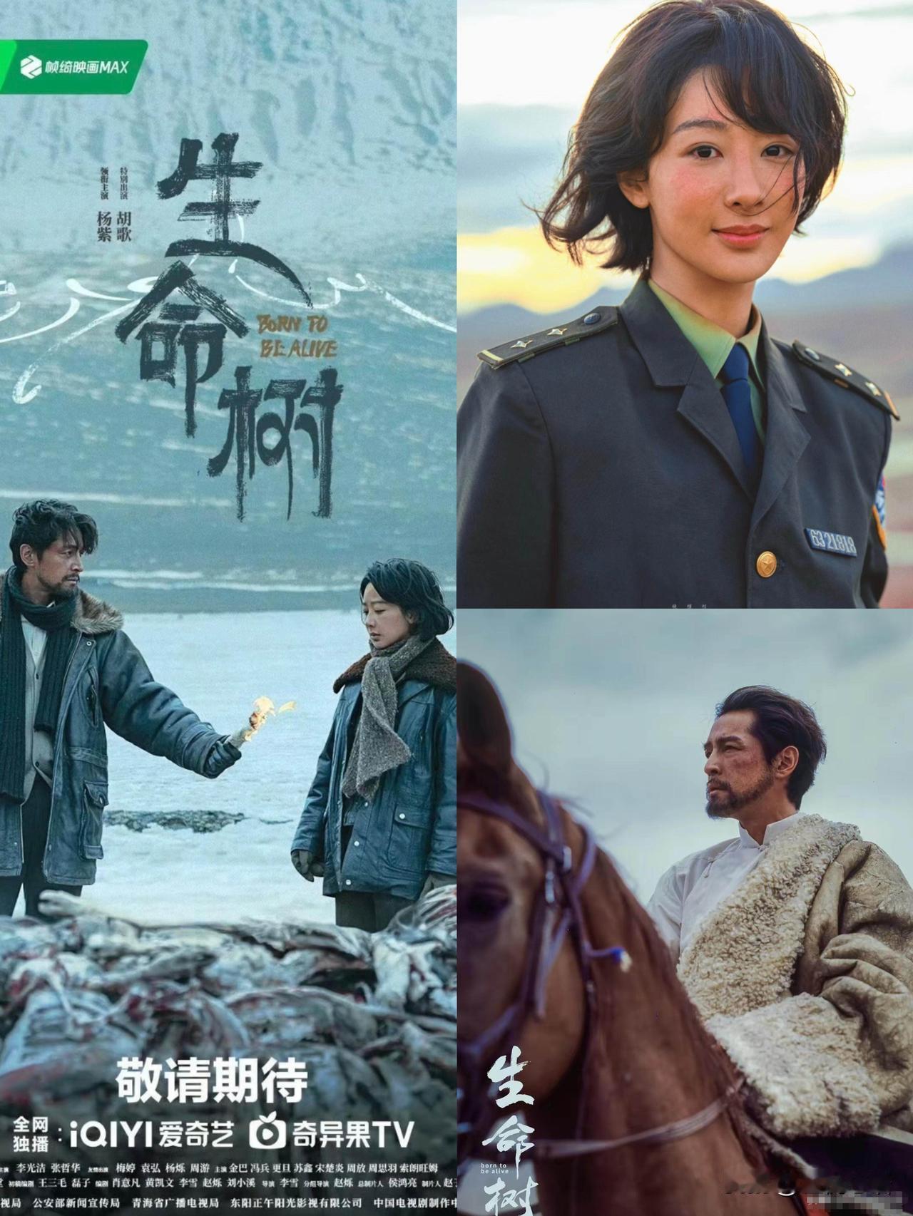 今晚开播，《生命树》接档《大城小事》
刚追完《小城大事》就空窗？
别慌！今晚央八