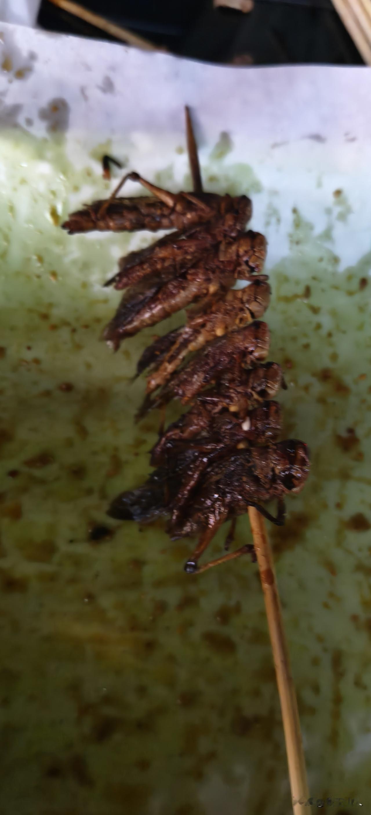 人生第一次品尝，蚂蚱。