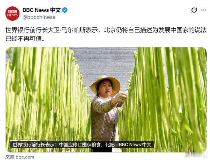 外媒又开始双标了：世界银行前行长大卫·马尔帕斯表示，北京仍将自己描述为发展中国家
