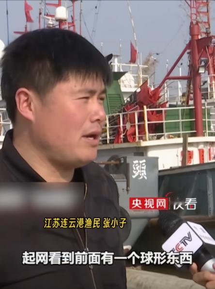 “渔民立大功了！”江苏张大哥出海打渔时，发现一个球形东西，他起初以为是鱼，结果捞