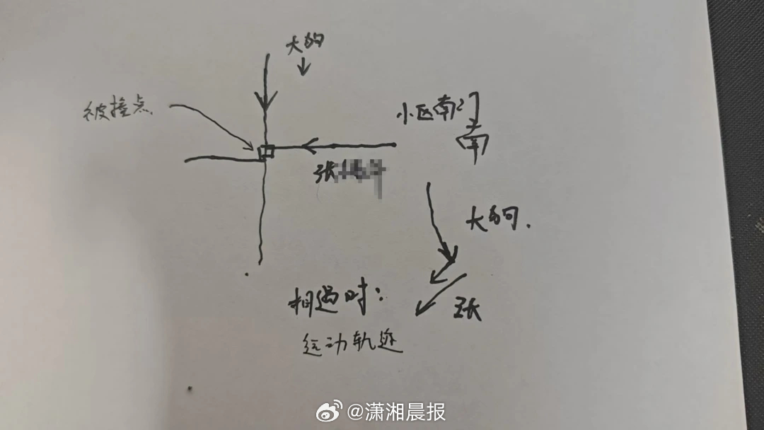 【扬州一#大型犬与柴犬打闹扑倒老人致骨折#，#狗狗打架扑倒老人致骨折家属发声#】