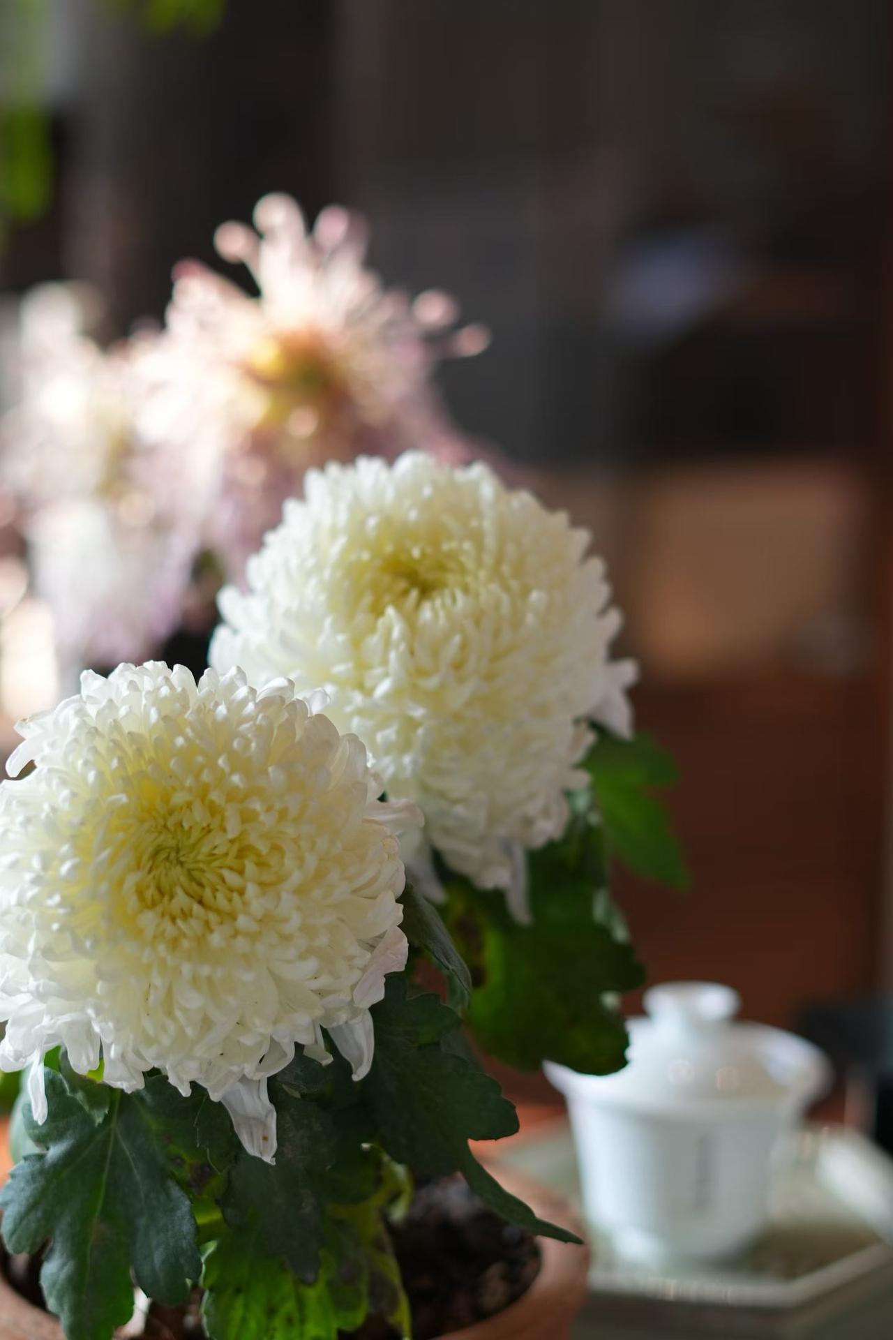 越长大越明白：好生活不用追，“慢下来”才见真章
 
以前总想着“快点赚钱”“快点