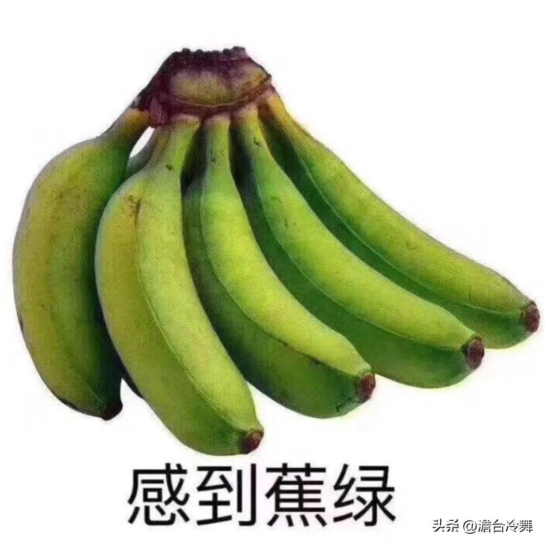 人口不断的老龄化，社保基金压力陡增，那么怎么办呢？其实可以向国外国家学习，那就是