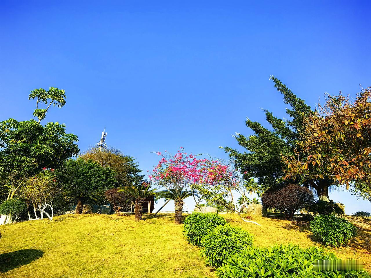 退休之后爱吃保健品，其实是为了守住健康，而我们应该明白的是理性选择更安心。
 