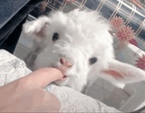 伴霞爱看体育