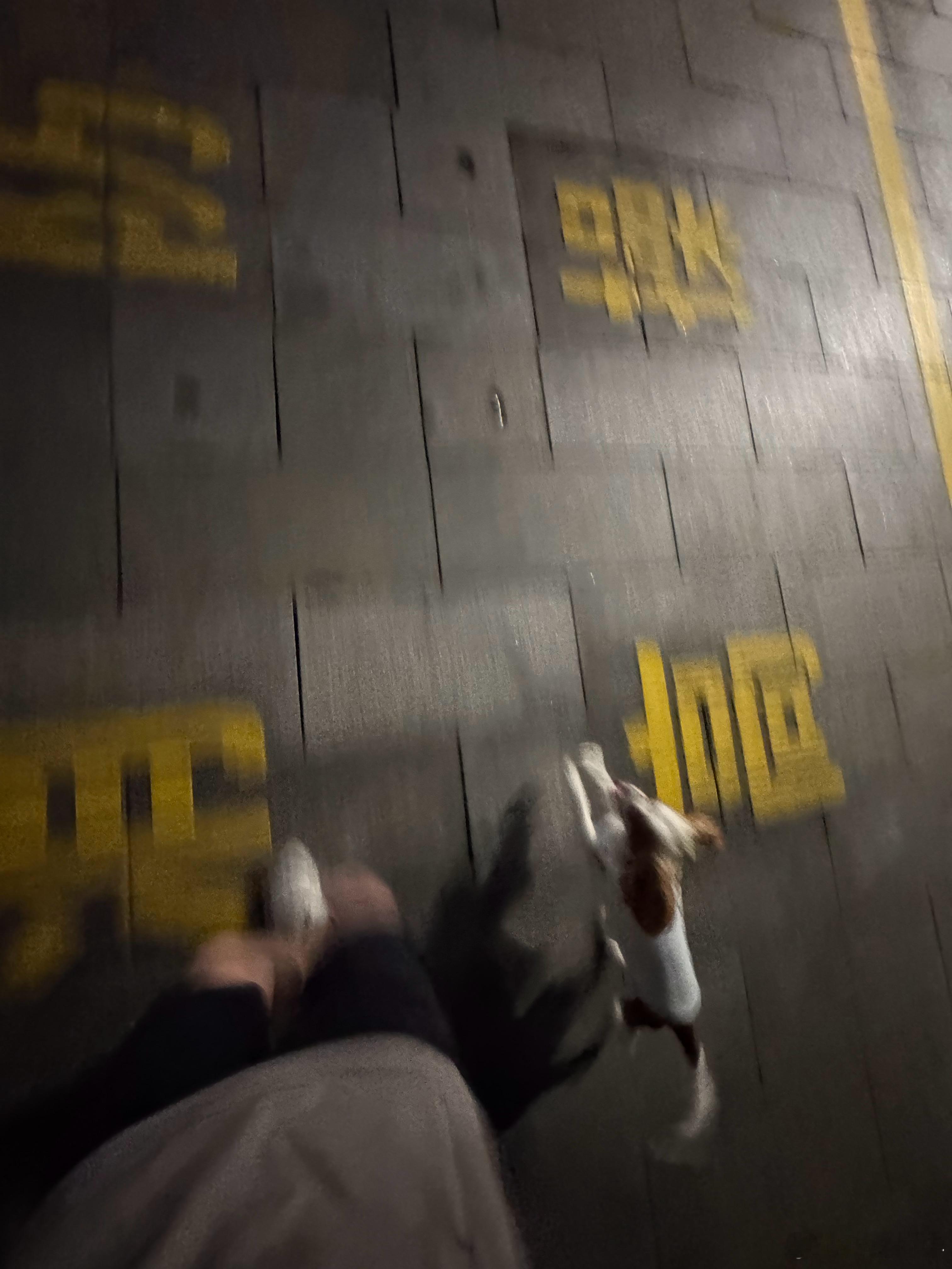 2026第三练🏃今天有小狗陪跑🐶 