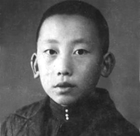 王震率部队南下途中遇一少年，自称是毛主席侄子的背后真相你知道吗？
1944年仲夏