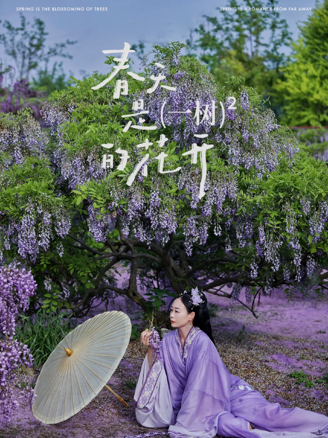 超梦幻❗️❗️我在无锡找到了梦幻紫藤💜花海
