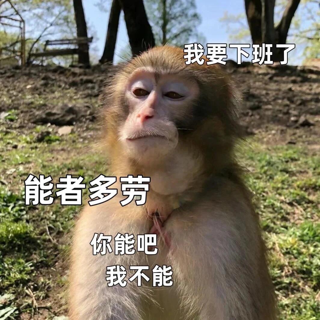 喽表情包来啦 ​​​