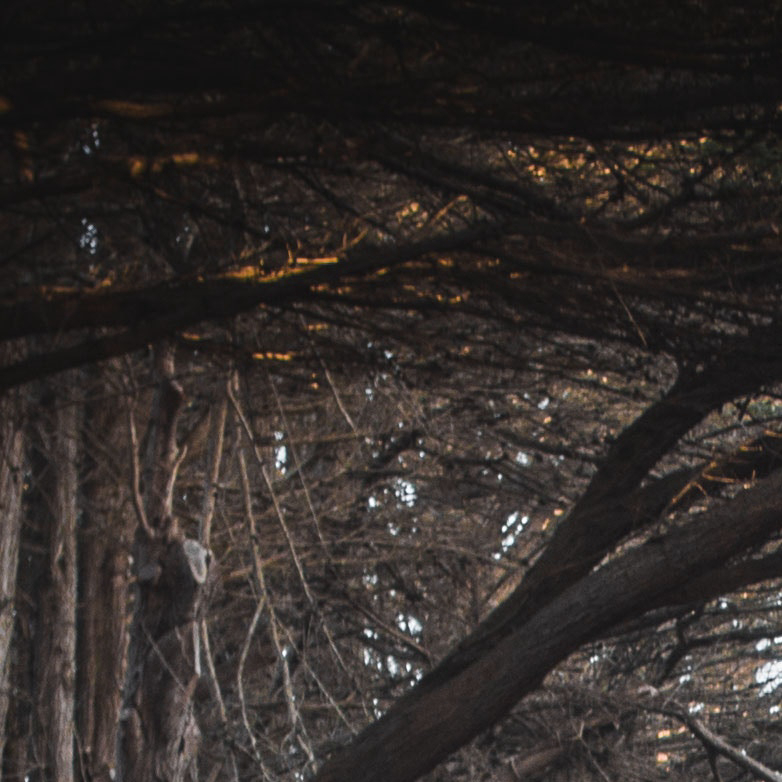 𝘀𝗵𝗮𝗿𝗲｜𝙒𝙚𝘾𝙝𝙖𝙩｜壁纸分享｜全屏壁纸｜无水印 不要