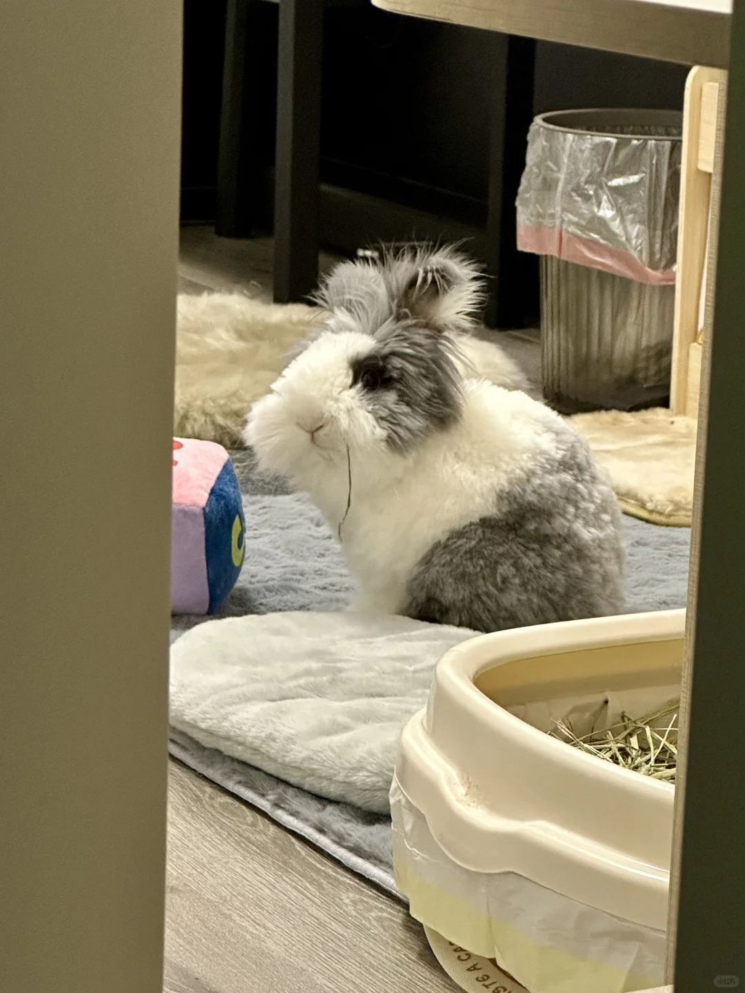 从门缝偷看嘎子被他发现