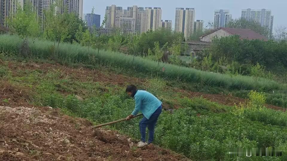 劳动光荣！你觉得干工地的农民工丢人吗工地 农民工 工地上的干活人 工地生存现状 