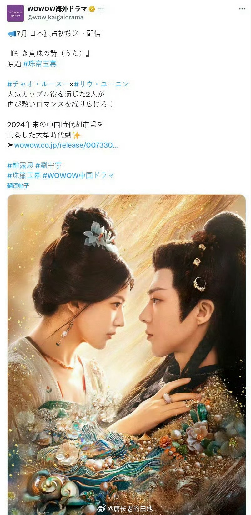 赵露思 刘宇宁《珠帘玉幕》即将在在日本播出啦 ​​​