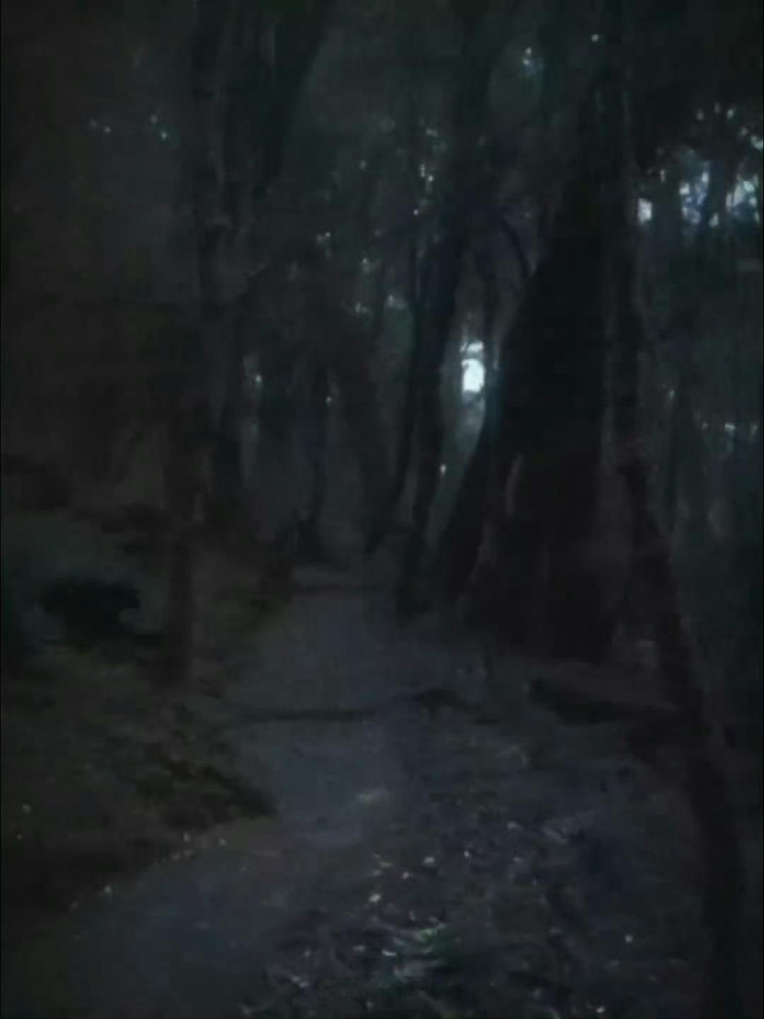 我勒个迪丽热巴 出现在镜头前的那刻眼前一亮 所有人来看 特别震撼。。。迪丽热巴