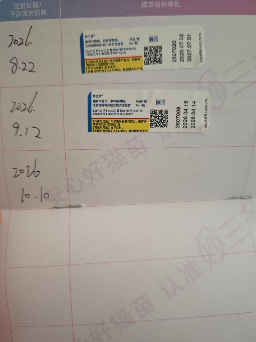 我直觉上一家不靠谱，这次换了一家，医生告诉我，老四一岁左右了，只是布偶发育晚[泪